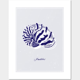 Nautilus Tiger Shell. Realistic sea life drawings. Posters and Art